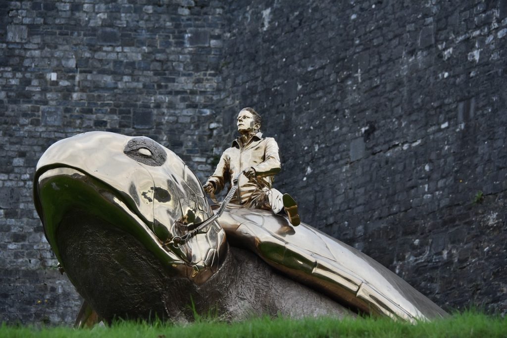 découvrez namur, la capitale de la wallonie, célèbre pour son riche patrimoine historique, ses châteaux impressionnants et ses paysages pittoresques. profitez des balades le long de la meuse et explorez ses charmantes ruelles. namur vous invite à une expérience culturelle unique.