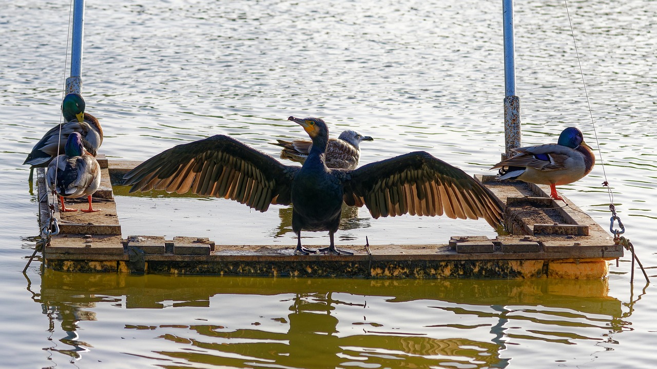 découvrez tout ce qu'il faut savoir sur la cohabitation : conseils pratiques, avantages, inconvénients, solutions pour une vie harmonieuse à plusieurs sous un même toit.